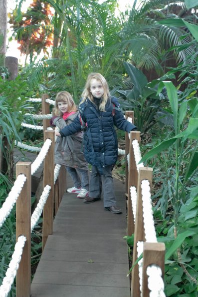 Aquarium de Lisbonne