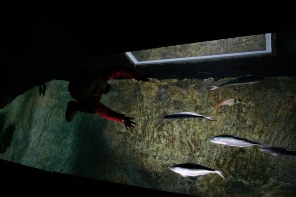 Aquarium de Lisbonne