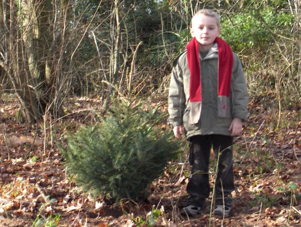 J'ai planté un arbre
