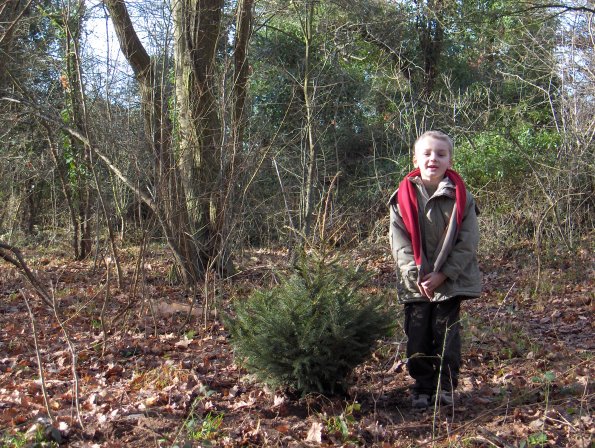 J'ai planté un arbre