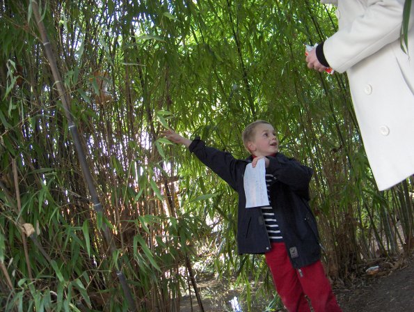 Oh, le dernier est là haut !