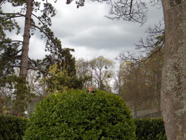 Alban, dans le buisson du grand grand parc.