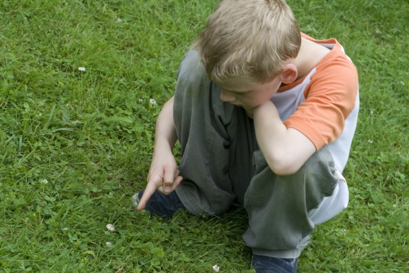 J'ai trouvé une toute petite grenouille