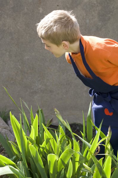 Chercheur de chocolat