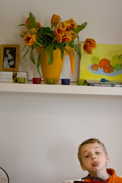 Diablotin et étagère