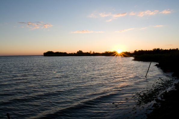 Camargue éternelle, le retour