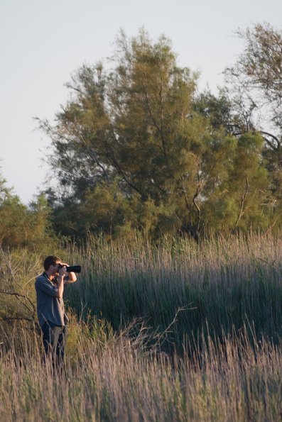 Chasseur d'images derechef