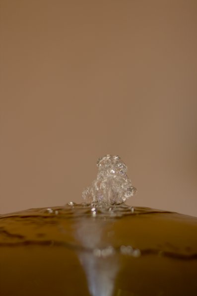 Casa Batlo, fontaine