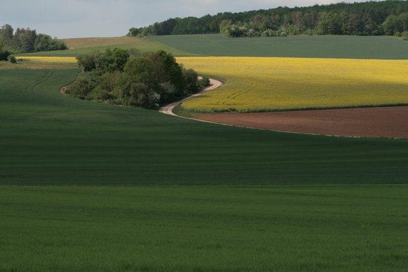 Bien rangée, la Bourgogne