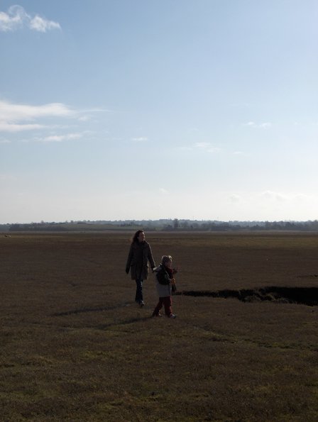 Où sont les indices ?