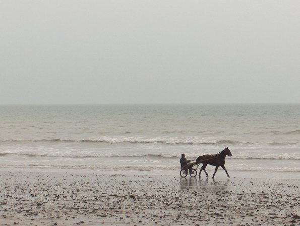 L'activité plus plus