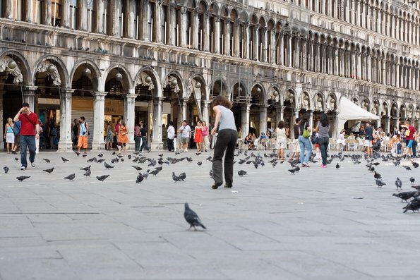 Qui des deux en attire le plus?